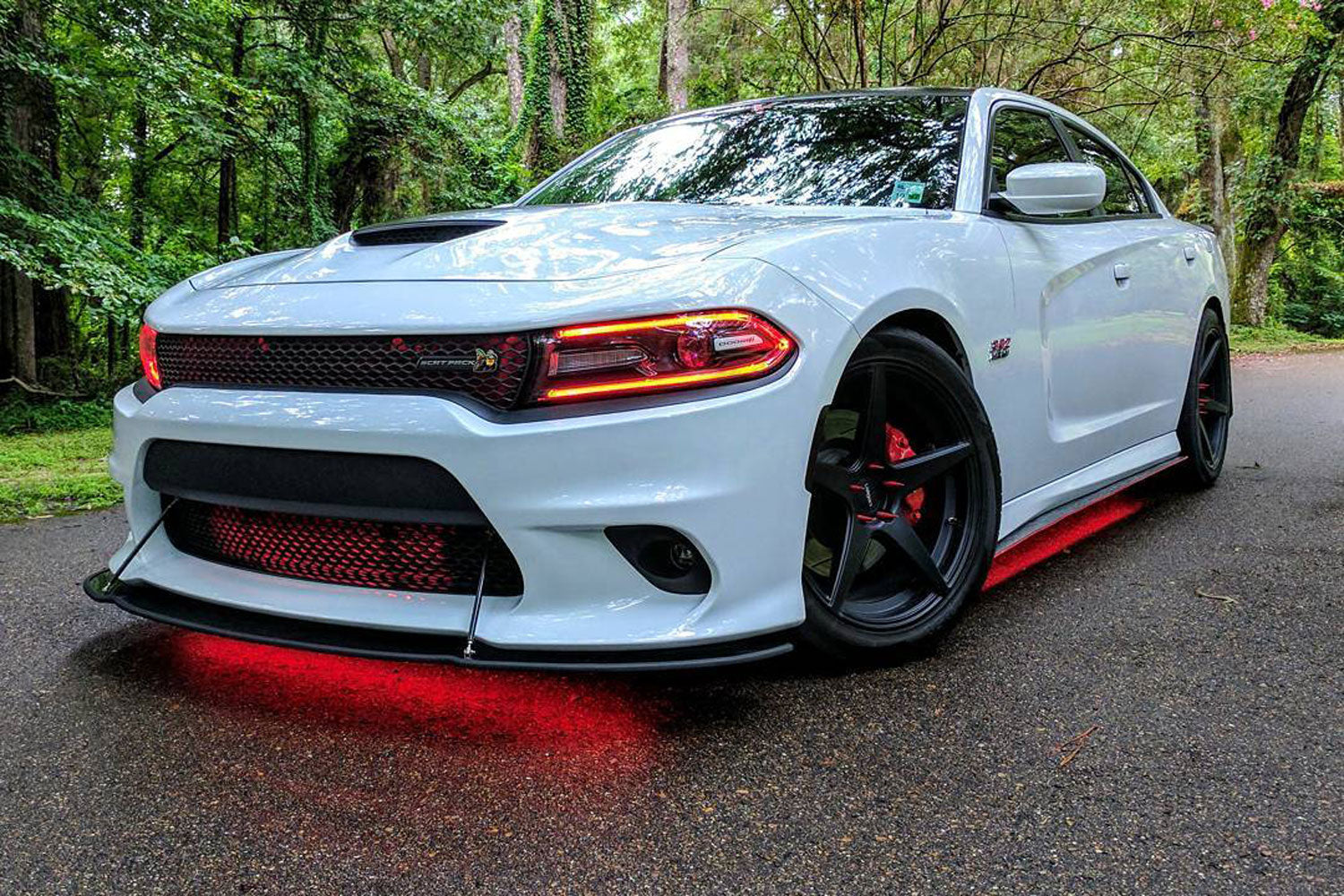 RGBW Multicolor Underglow LED Kit