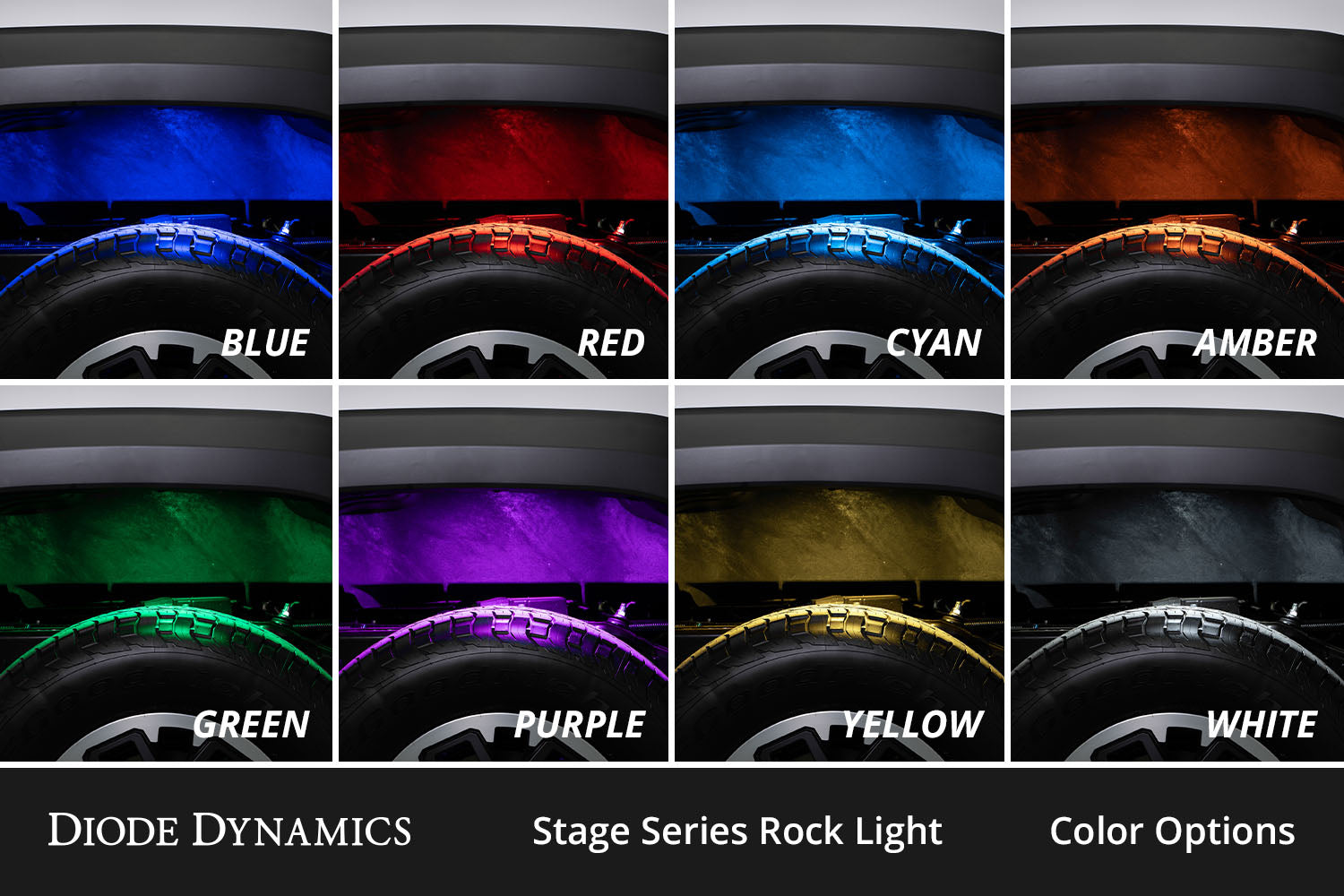 Stage Series RGBW LED Rock Light Kit (12-pack)