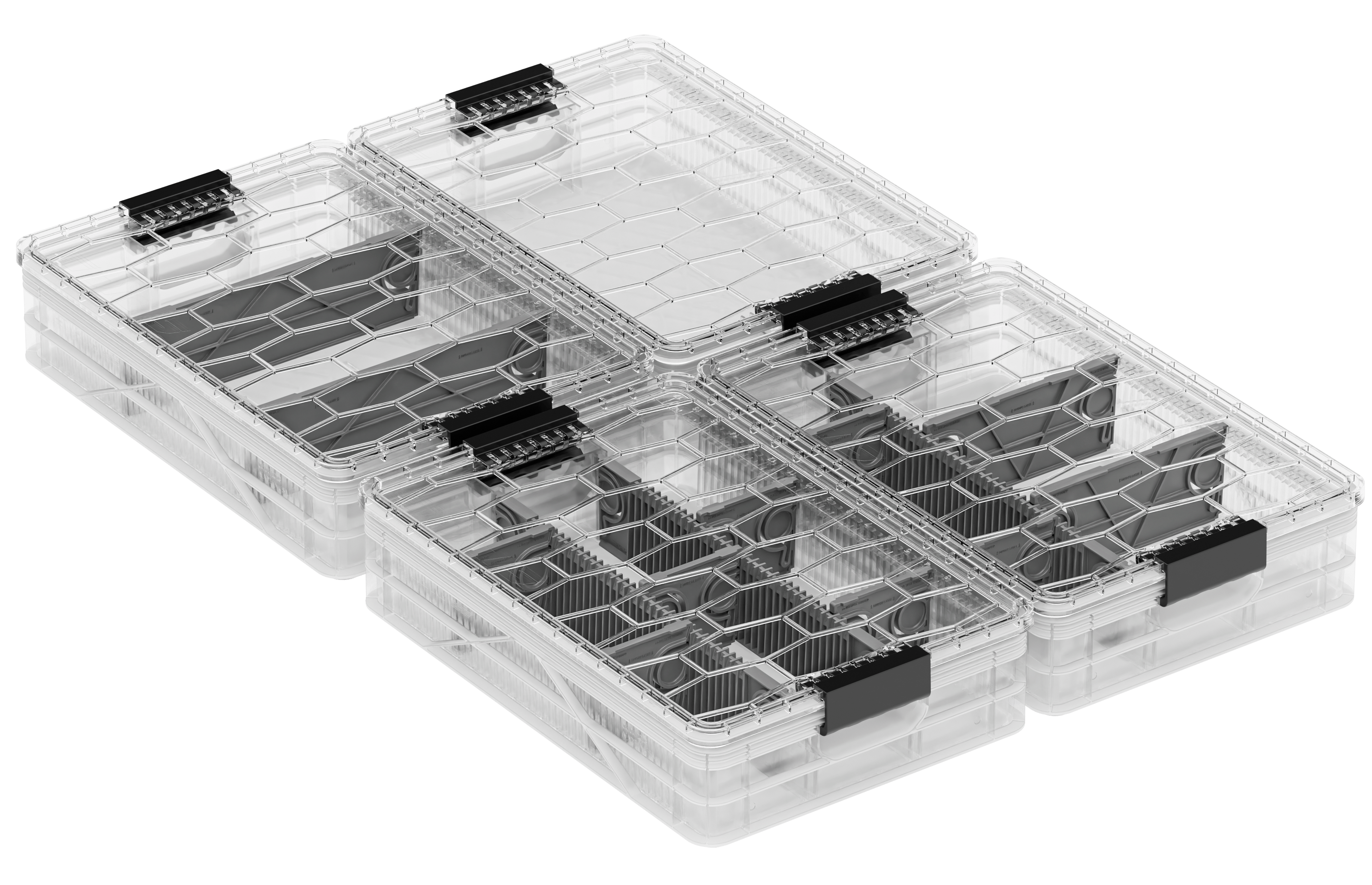 Quarter Crate 4 Pack