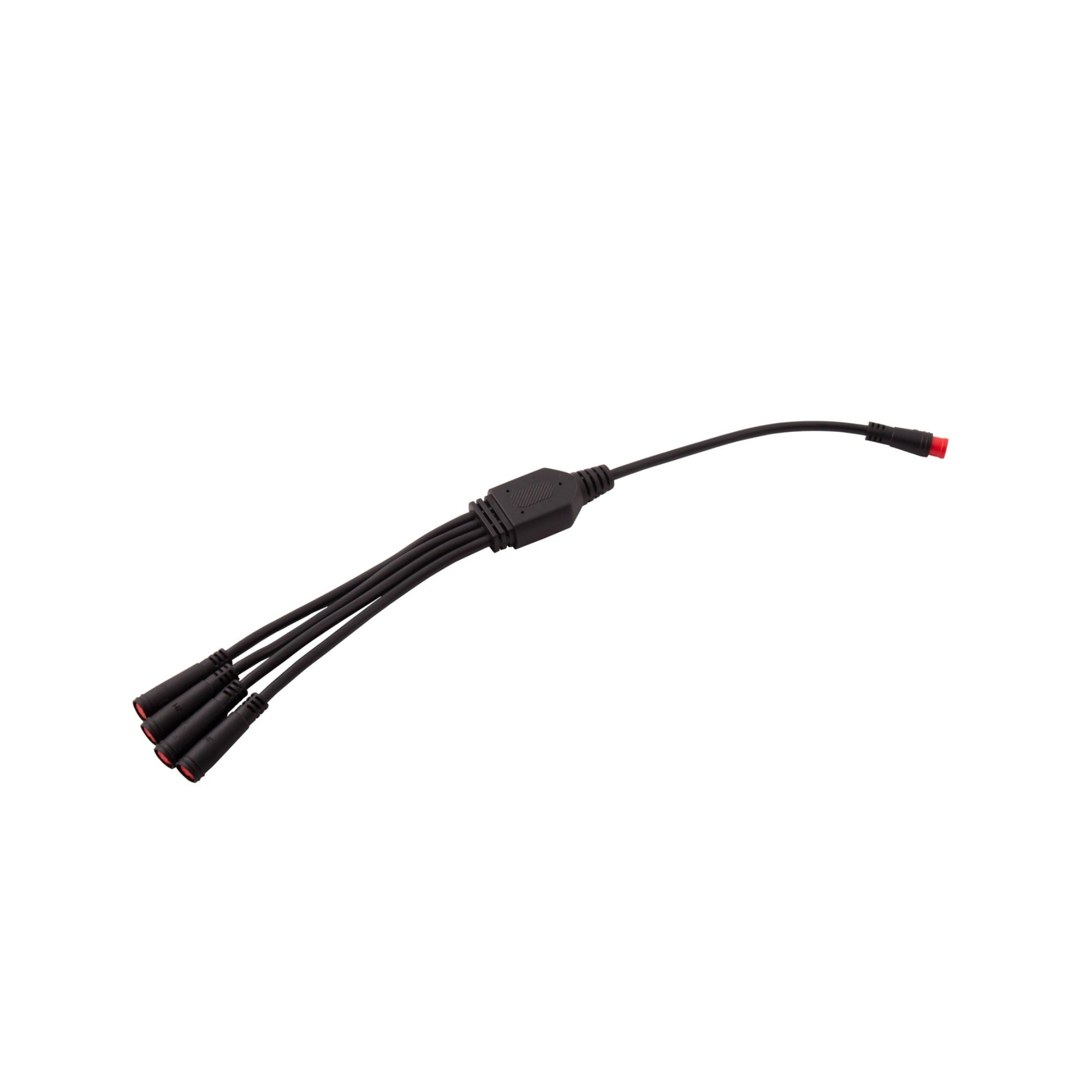 RGBW M8 5-Pin Splitter Wire (one)