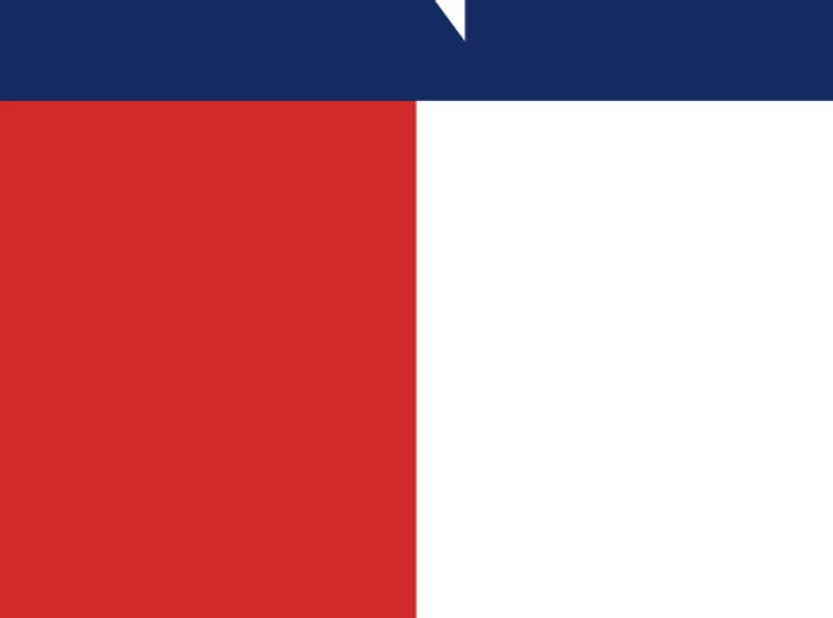 JL 4D or 2D Sun Shade - TEXAS FLAG